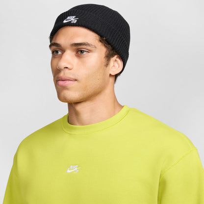 Nike SB Terra Futura Beanie HF7003-010