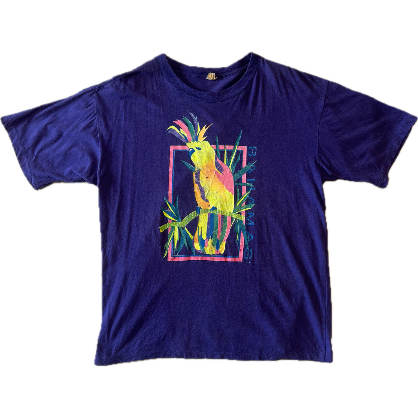 Vintage 1990s Bahamas Parrot Tee - Large - Purple