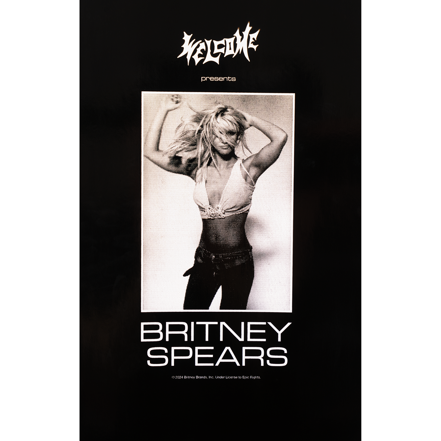 Welcome x Britney Spears Snake Popsicle Deck 8.5" Black / Pink Foil